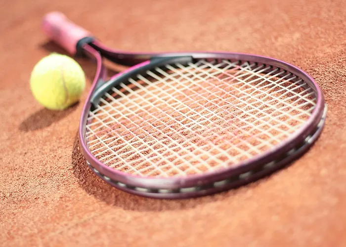 מלון Grand Rogaska