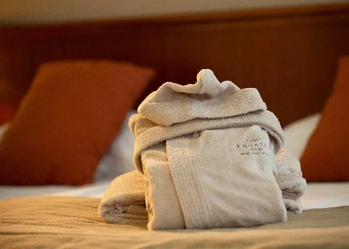 Grand Rogaska מלון